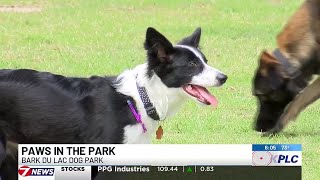 Paws in the Park held Saturday