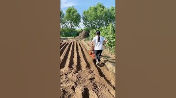 trenching machine trenching and soil-raising machine weeding and rotary tillage.