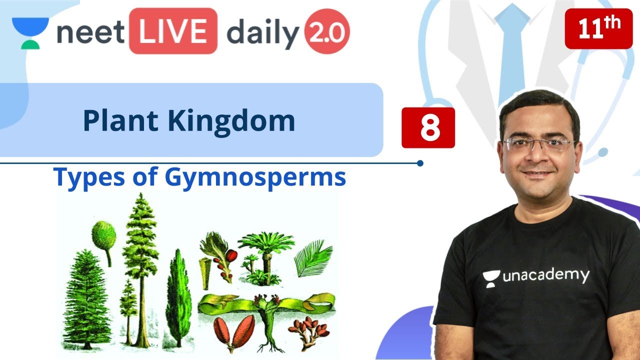 NEET: Plant Kingdom - L8 | Gymnosperms | Class 11 | Live Daily 2.0 | Unacademy NEET | Pradeep Sir