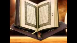 سورة النساء هاني الرفاعي