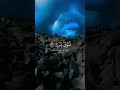 وان ليس للانسان الا ماسعى القارئ احمد النفيس سوره النجم