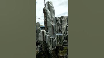 đa tuyết sơn . liên hệ .0902254188