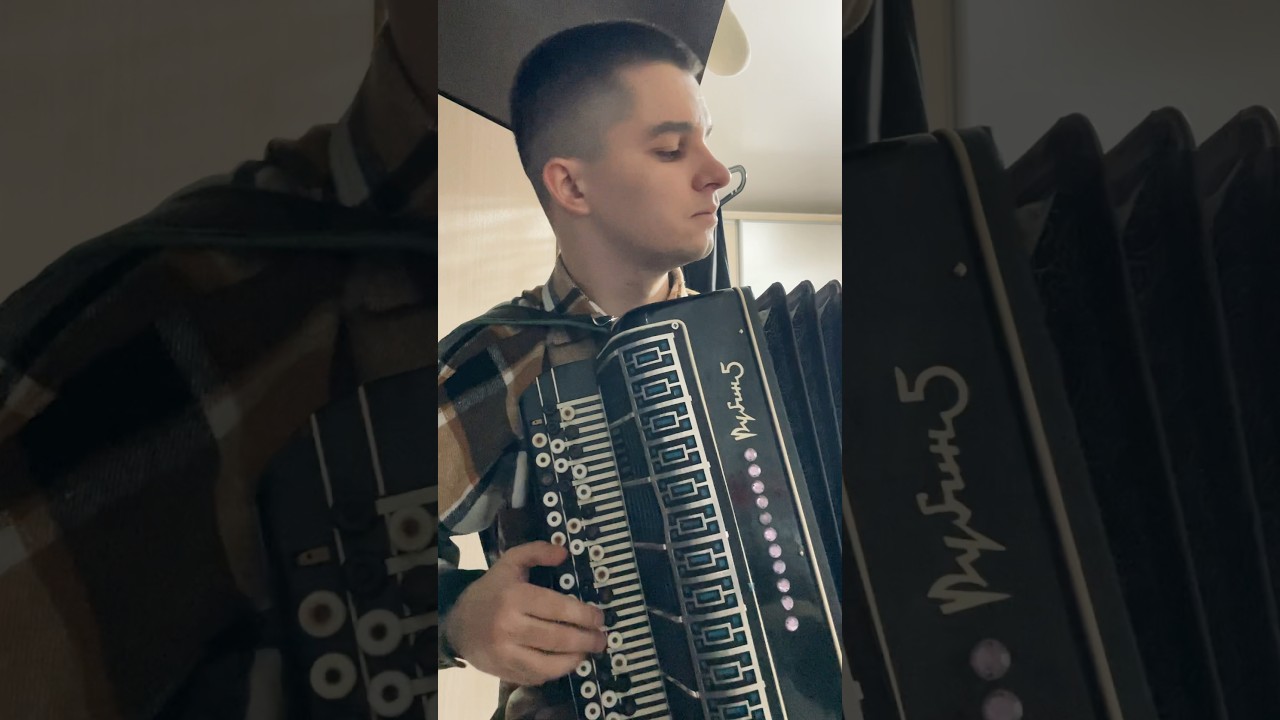 Версия песни под баян 🪗 