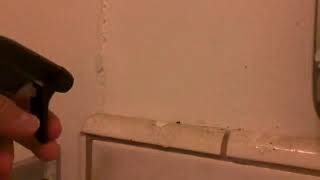 Celebrity 9 Elements Bathroom Cleaner, Eucalyptus Multi Surface Shower Review, Cleans our bathrooms well; envi Net Worth