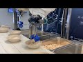 Chef robot depositing chicken and rice