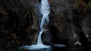 Scenes From A Walk Along Arakawa River