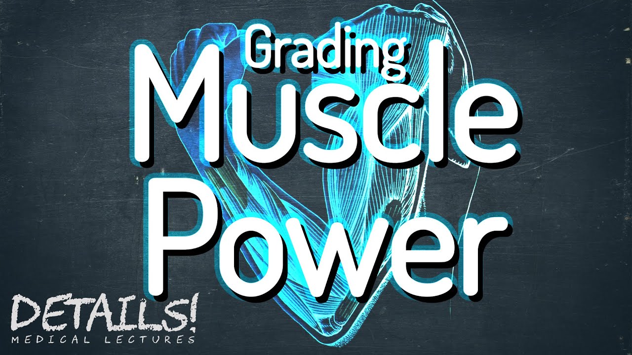 medical research council grading of muscle power