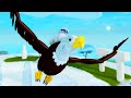 VIDA de ÁGUIA O Retorno! O PAPAI ENSINOU ele A VOAR!! - ROBLOX Feather Family | *Para Crianças* 🦅