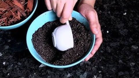 Water Experiment | Catchment