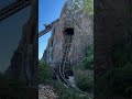 🎢Expedition Everest📍Disney's Animal Kingdom #coasterculture  #rollercoasterride  #rollercoaster