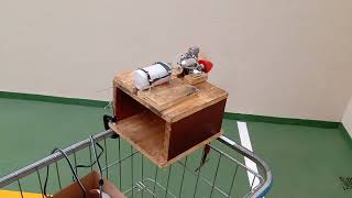 Motor Glow ASP 61 4T