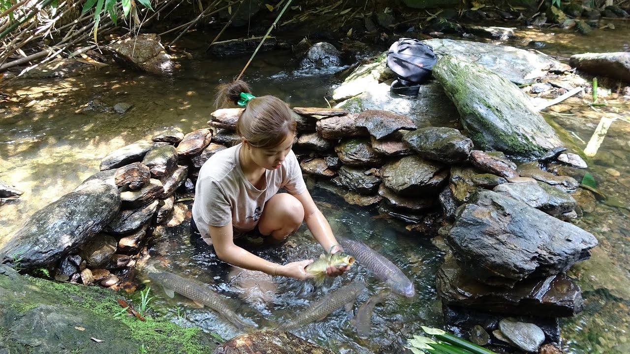 Fishing video - Stone fish trap - Catch a lot of fish in the stream ...