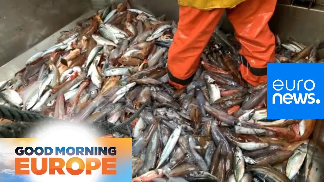 Prospect of no-deal Brexit sparks concern among French fishermen
