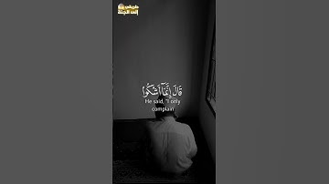 قال إنما أشكوا بثي وحزني إلى الله #سورة_يوسف #اسلام_صبحي #trend #trending #explore #اكسبلور #قرآن