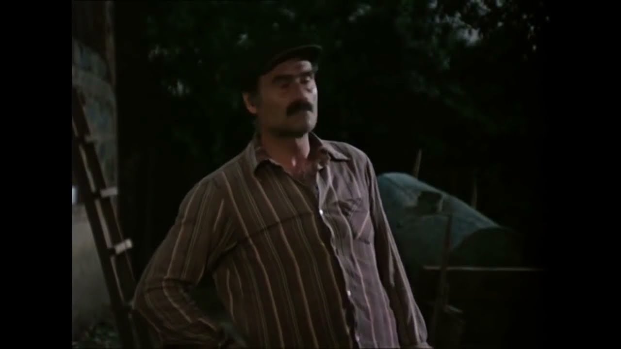 "სიყვარული ყველას უნდა" - მთვრალი კოლა (siyvaruli yvelas unda)