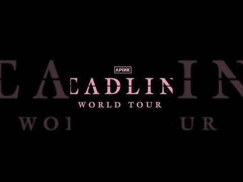 APINK: A Love Letter to Our Fans
