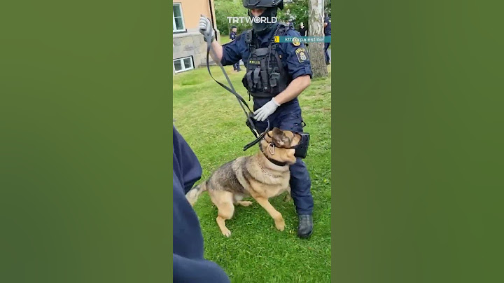 Swedish police unleash dogs on pro-Palestine demonstrators