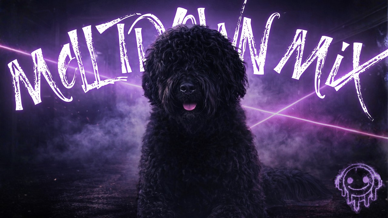 YouTubeでTechno Mix 2026 - Remixes of Popular Songs - BEST EDM Hits - 🎧 DJMelltdown - SET22 🎧を視聴 YouTubeでTechno Mix 2026 - Remixes of Popular Songs - BEST EDM Hits - 🎧 DJMelltdown - SET22 🎧を視聴