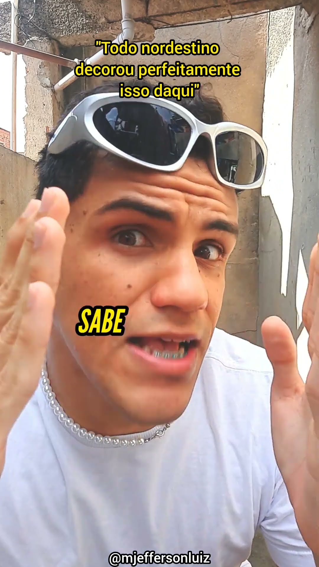 Se você é nordestino e não é expert em forrologia, você está sendo nordestino errado! ??️ #shorts