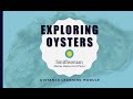 view Exploring Oyster Reefs - Distance Learning Module digital asset number 1