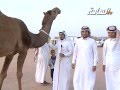 اجمل الفرديات 2 شعاقة المالك زبار بن صالح المغيري العتيبي 