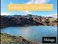 Лучшее место в Малаге /Presa EL Limonero Malaga
