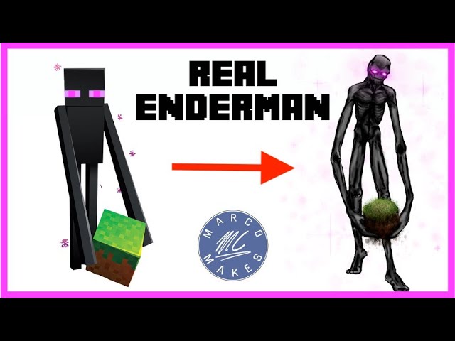 I drew an Enderman : r/Minecraft