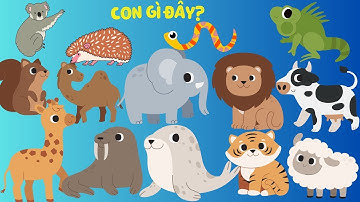 CON GÌ ĐÂY? BÉ HỌC NÓI CON VẬT | TIẾNG KÊU CÁC CON VẬT NÔNG TRẠI, CON VẬT RỪNG, BIỂN