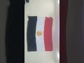 تحيا مصر عيد تحرير سيناء منسي لا ينسه
