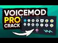 FREE VOICEMOD CRACK DOWNLOAD - VOICEMOD CRACKED 2026