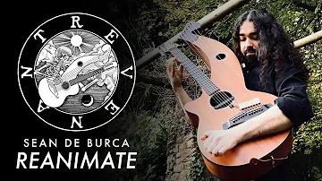 Sean de Burca - Reanimate - Harp Guitar