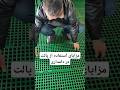 مزایای استفاده از پالت در دامداری رعایت بهداشت محیط هست mp3