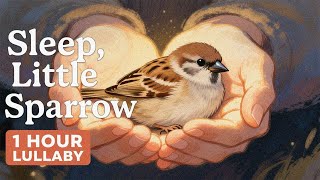 Babies Fall Asleep Fast | 1 Hour Gentle Lullaby for Sleep – Sleep, Little Sparrow 💤 screenshot 3