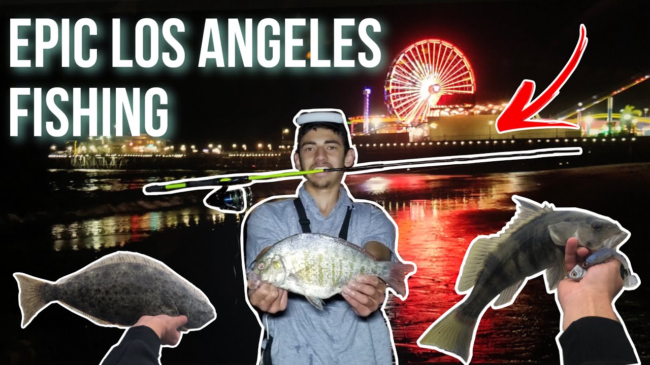 Los Angeles Pier and Surf Fishing! (Sand Bass, Halibut, Surf Perch ...