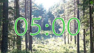 5 Minute Nature Timer with Alarm - Countdown with Relaxing Birdsong - Pine Tree Forest Clearing
