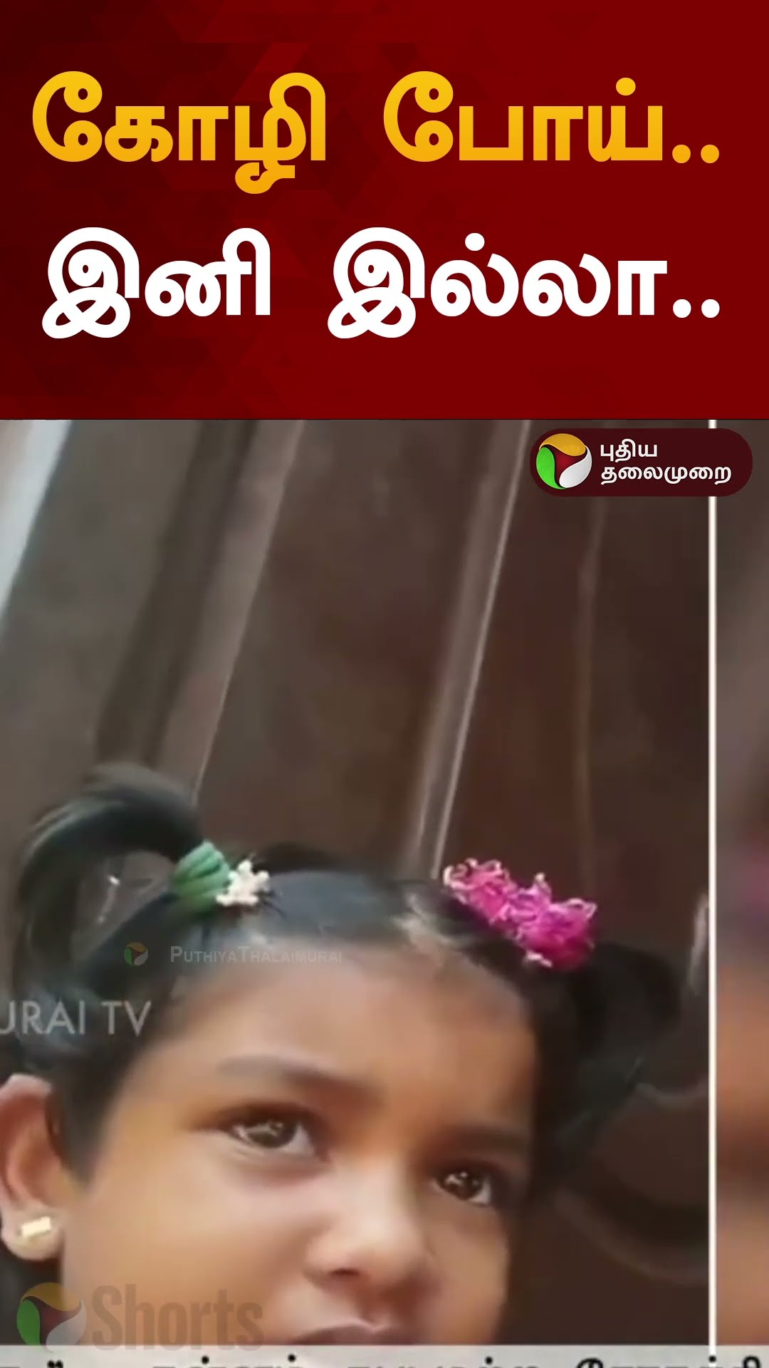 கண்கலங்கிய சிறுமி | #shorts | #kerala | #hen | #girl | #viralvideo