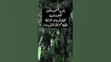 سورة الزمر الآية ١٧ الى ١٩ بصوت الشيخ محمد صديق المنشاوي