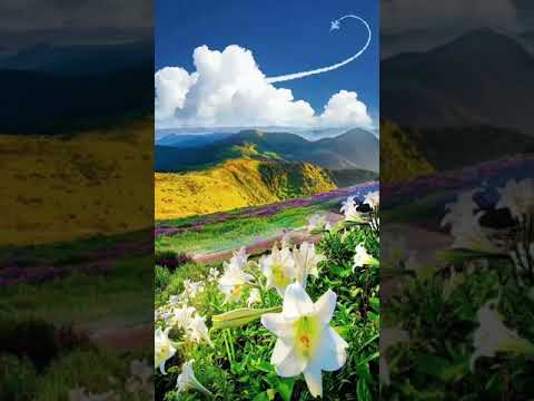 Красивые природные пейзажи,