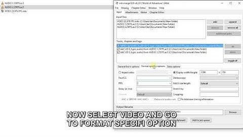 HOW TO SYNC 25 FPS AUDIO IN 23.976 FPS  VIDEO