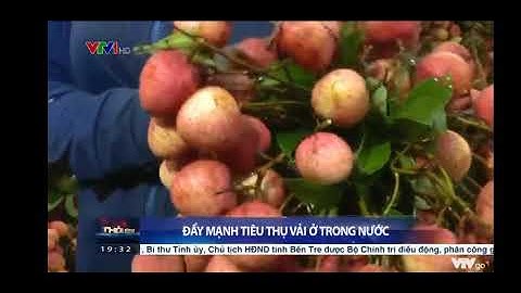 VOSO đẩy mạnh tiêu thụ vải thiều Lục Ngạn Bắc Giang, vải thiều Thanh Hà Hải Dương #vaithieu#vaiuhong