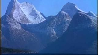 Killer Whales Of The Fjord