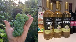 How to make wine at home. Homemade wine from grapes DIY. Home winemaking.