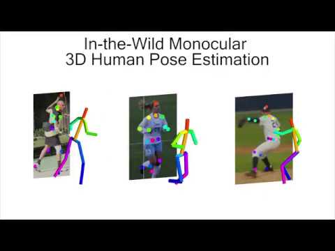 Monocular 3D Human