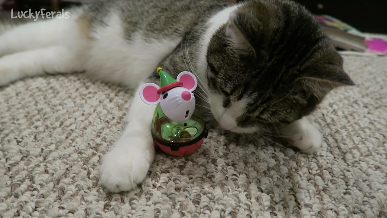 temptations cat treats mouse toy