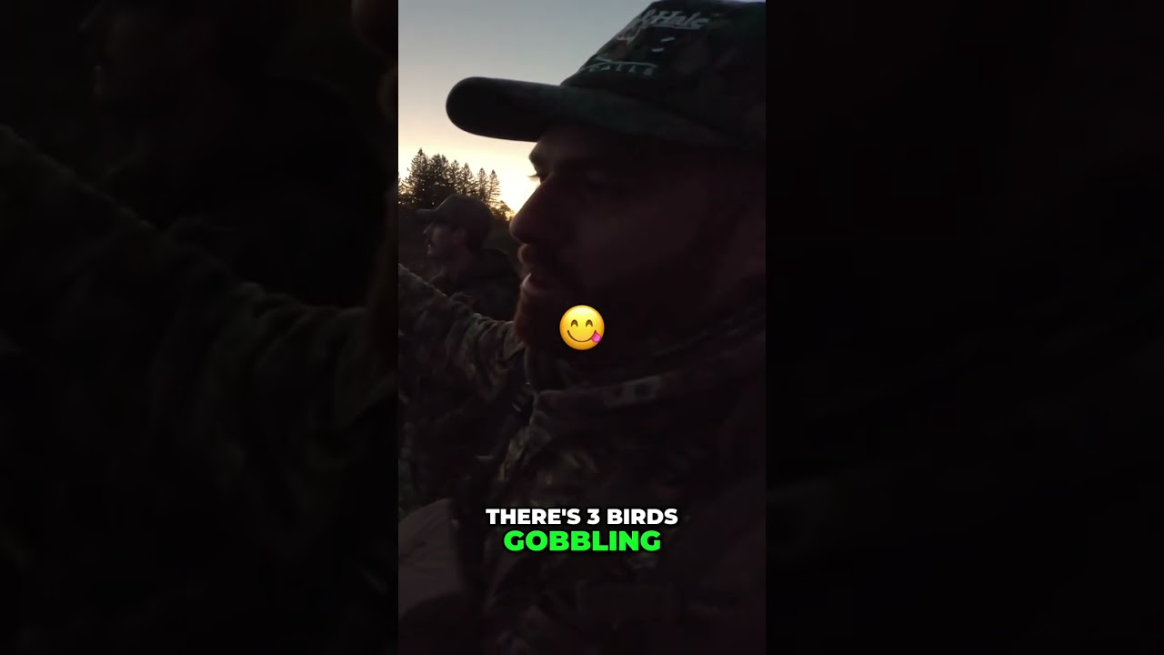 Gobbling Turkeys: Ambush in the Morning Field!