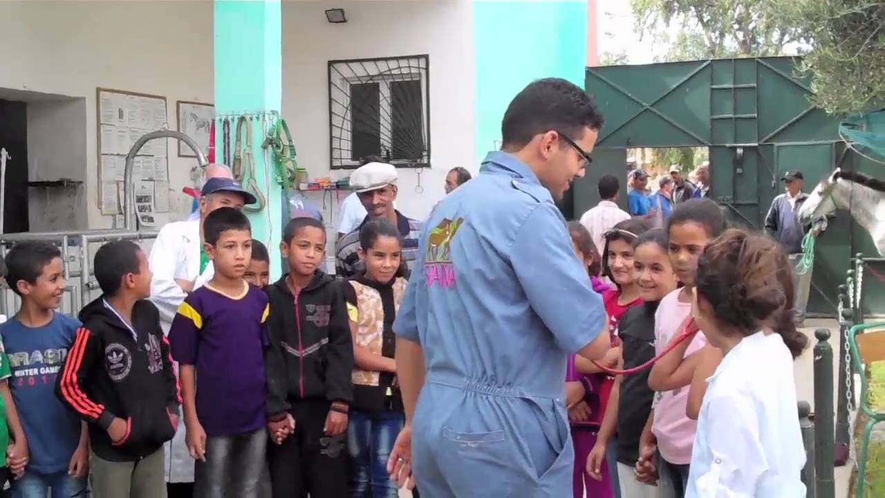 Educating children about animal welfare