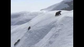 Ya Man Yara (English Subtitles)