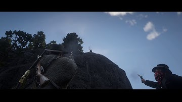 Red dead 2 - what happens if you kill everyone before jumping off cliff?
