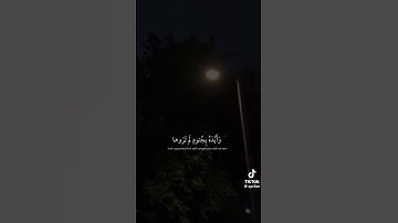 قران كريم بصوت جميل #لا تهرب#