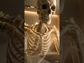 (I am shocked😱 )See what happened when I do 100 pushups daily for 100 days